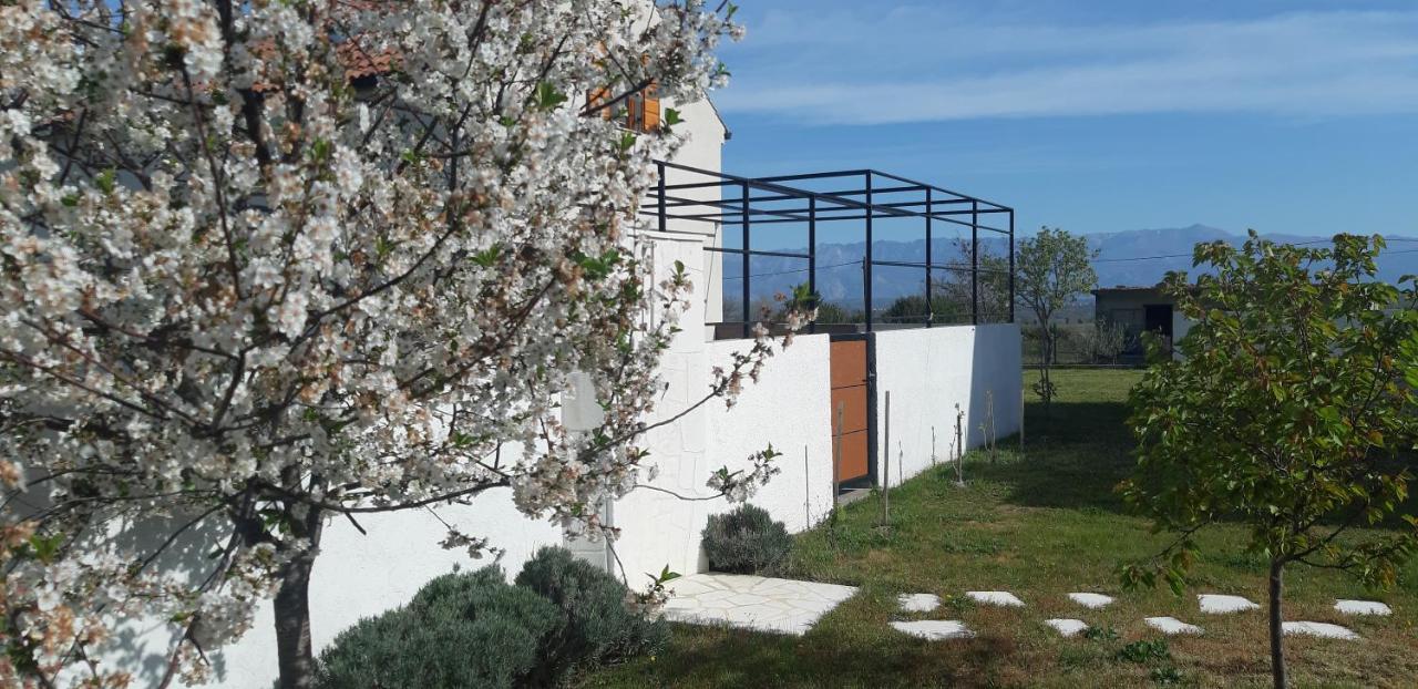 Vila Pan Zadar Exterior photo